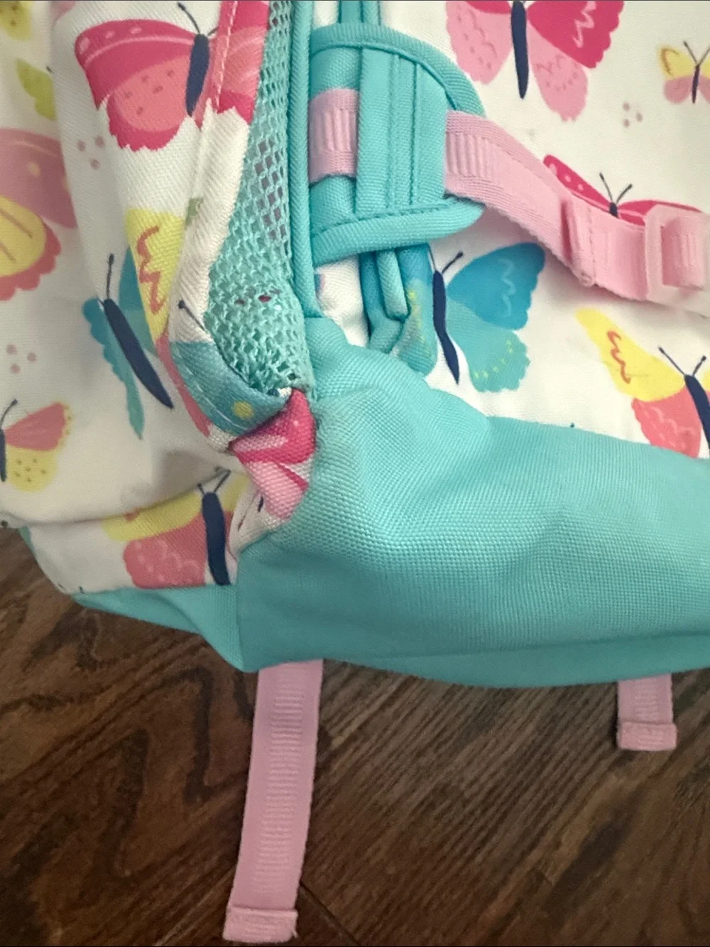 Pottery Barn Kids Large Butterfly Backpack & Lunchbox Set